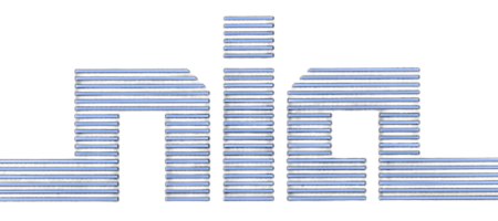 Blue Nia Logo