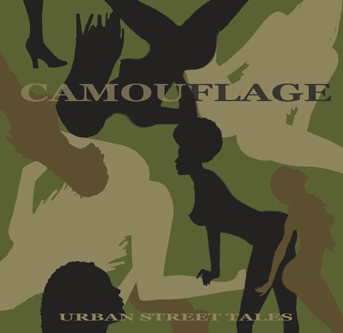 Camoflague cover copy
